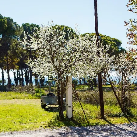 Kali House Feriehus *